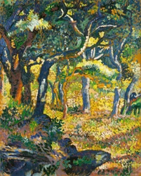 Eine Lichtung in der Provence (Studie)